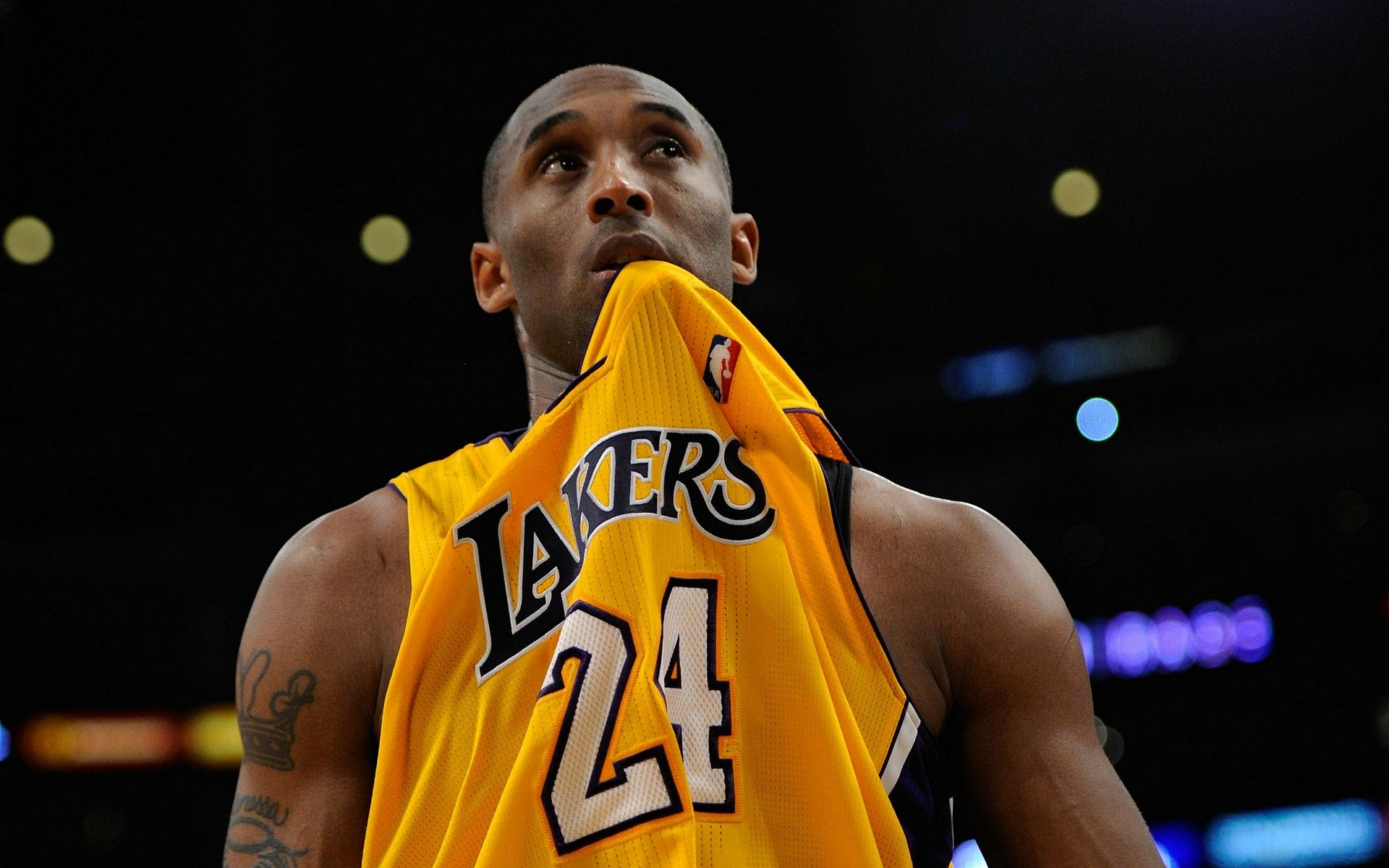 被验证的 被验证的