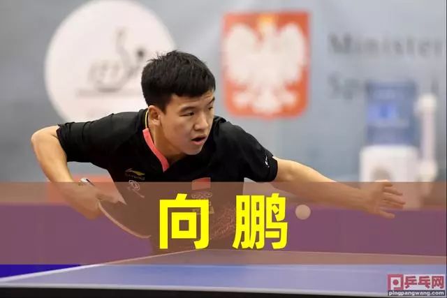 外线射手群 外线射手群